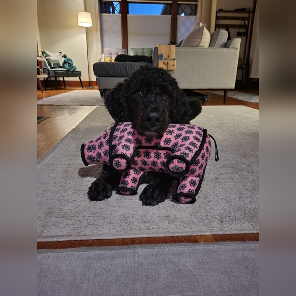 Meet your Posher, Sabrina - Picture 4 of 8